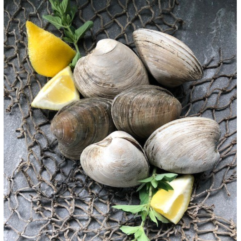 Topneck Clams SHUCKED EXTRA FEE Main Image